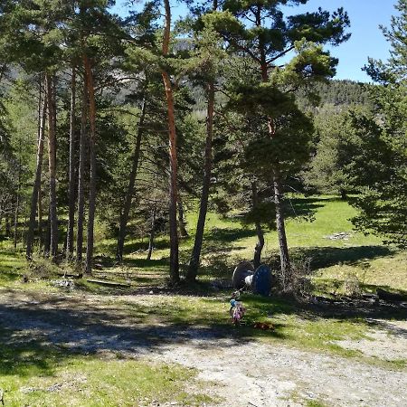 Les Pinees Otel Chateauroux-les-Alpes Dış mekan fotoğraf