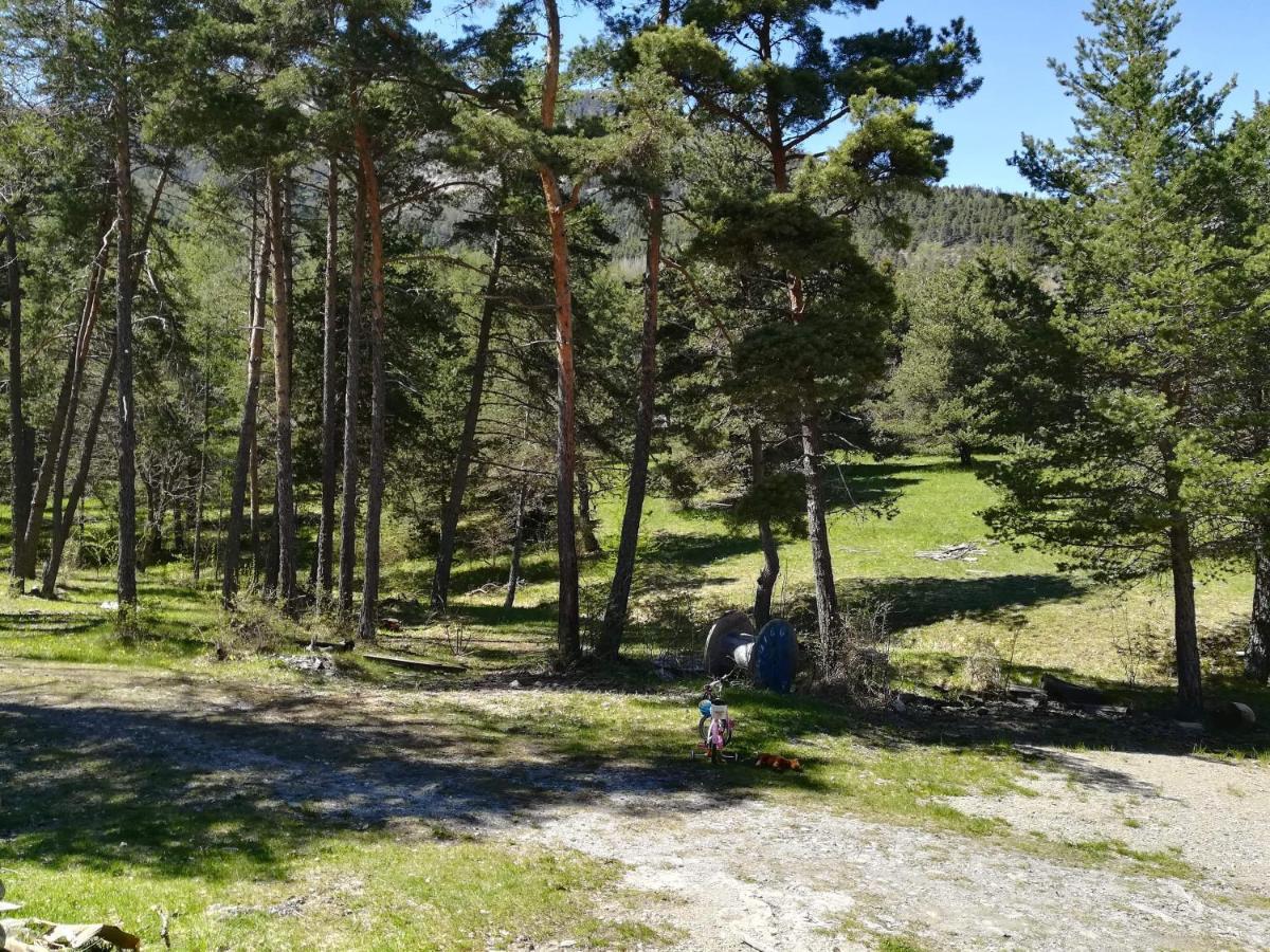 Les Pinees Otel Chateauroux-les-Alpes Dış mekan fotoğraf